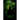 Shadows in the Jungle: A Paul Phillips Mystery