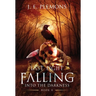 Last Light Falling - Into The Darkness, Book II