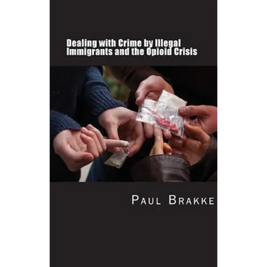 Dealing with Crime by Illegal Immigrants and the Opioid Crisis: What to Do about the Two Big Social and Criminal Justice Issues of Today