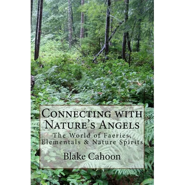 Connecting with Nature's Angels: The World of Faeries, Elementals & Nature Spirits