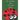 The Ladybug Who Lost Her Spots