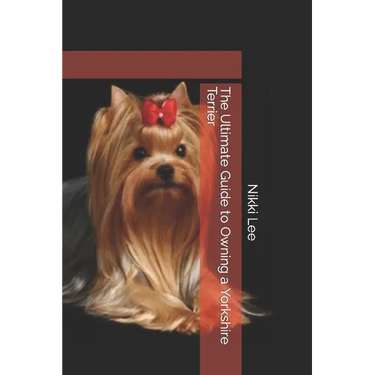 The Ultimate Guide to Owning a Yorkshire Terrier