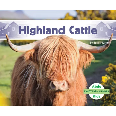 Highland Cattle