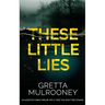 THESE LITTLE LIES an addictive crime thriller with a twist you won't see coming