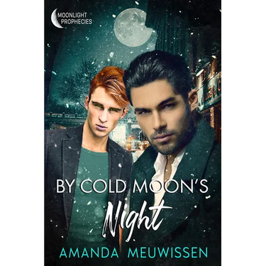 By Cold Moon's Night