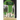 Green for Danger
