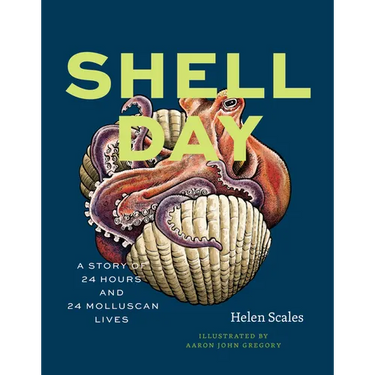 Shell Day: A Story of 24 Hours and 24 Molluscan Lives