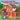 The Little Farmer on Madison Farms: The Adventure Begins