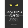 Rescuing CATS: The Musical That's Better Than You Think