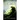 The Dark Ability