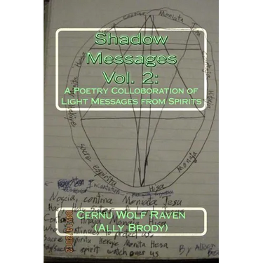 Shadow Messages Vol. 2: : A Poetry Colloboration of Light Messages from Spirits