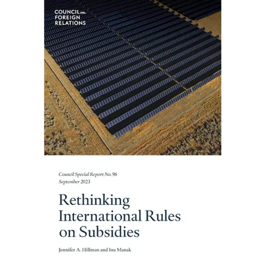 Rethinking International Rules on Subsidies