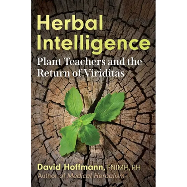 Herbal Intelligence: Plant Teachers and the Return of Viriditas