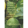 Growing Limes, Lemons, Oranges and Other Citrus Fruits At Home