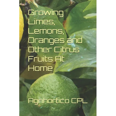 Growing Limes, Lemons, Oranges and Other Citrus Fruits At Home