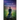 Into the Starlight