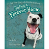 Finding a Forever Home: The True Story of Ellie Bleu's Rescue