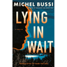 Lying in Wait: A Thriller