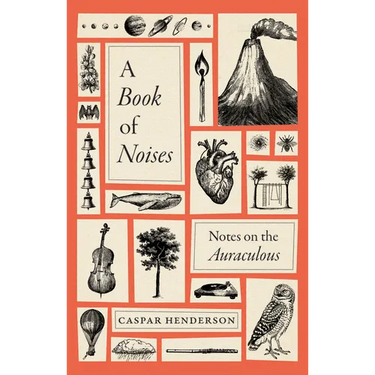 A Book of Noises: Notes on the Auraculous