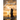 Journey: Pain and Purpose