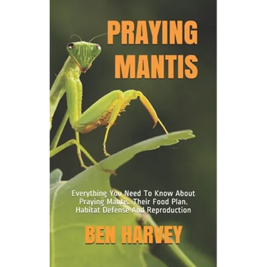 Praying Mantis: Everything You Need To Know About Praying Mantis. Their Food Plan. Habitat Defense And Reproduction