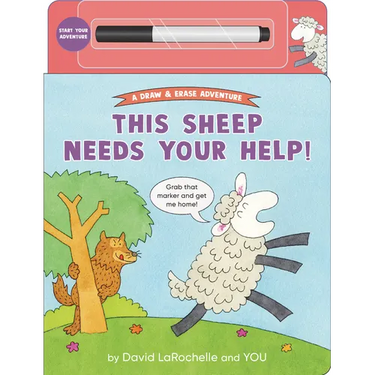 This Sheep Needs Your Help!
