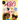 Baby's First Science: ABC