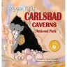 MOUSE Visits Carlsbad Caverns National Park