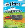 A Home for a Little Palomino
