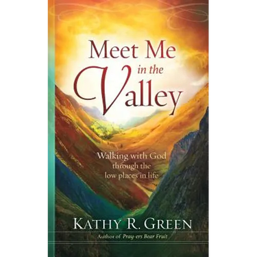 Meet Me in the Valley: Walking With God Through the Low Places in Life