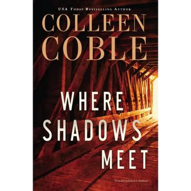 Where Shadows Meet: A Romantic Suspense Novel