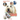 Awesome Miracle Stories: Therapy Dog Casper