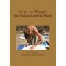 Notes on filling in the Italian Context Sheets