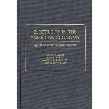Electricity in the American Economy: Agent of Technological Progress