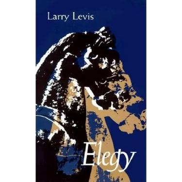 Elegy