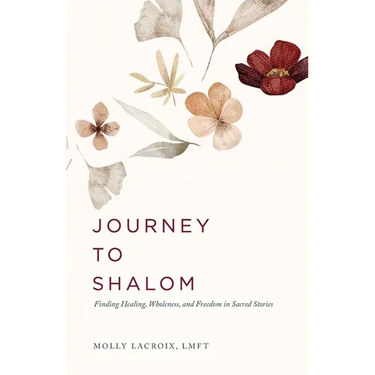 Journey to Shalom: Finding Healing, Wholeness, and Freedom In Sacred Stories