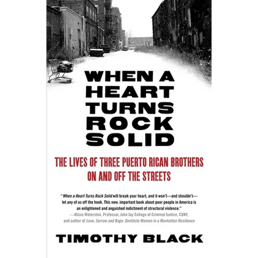 When a Heart Turns Rock Solid: The Lives of Three Puerto Rican Brothers On and Off the Streets
