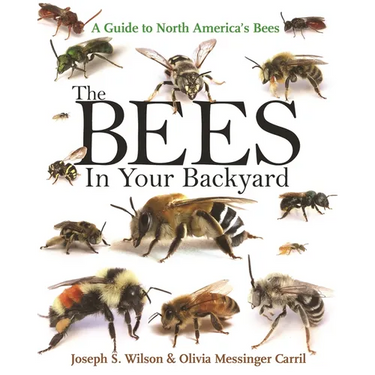 The Bees in Your Backyard: A Guide to North America's Bees
