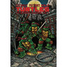 Teenage Mutant Ninja Turtles: The Ultimate Collection, Vol. 1