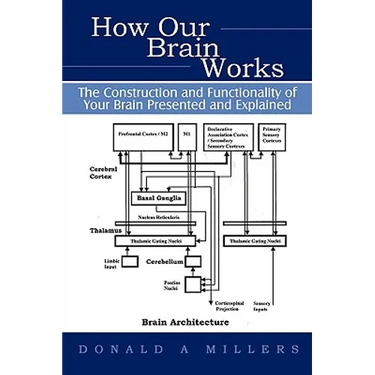 How Our Brain Works: The Construction and Functionality of Your Brain Presented and Explained