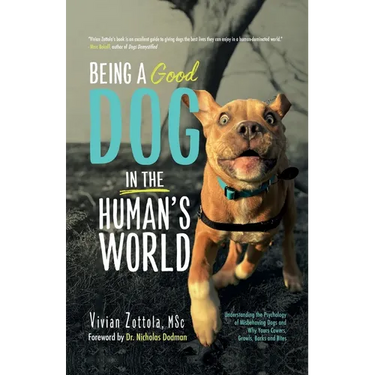 Being A (Good) Dog In The Human's World: Understanding the Psychology of Misbehaving Dogs and Why Yours Cowers, Growls and Bites