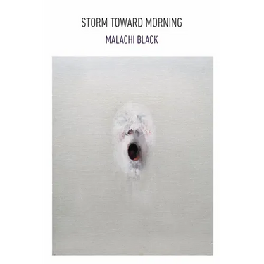 Storm Toward Morning