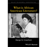 What is African American Literature?