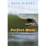 Perfect Wave: More Essays on Art and Democracy