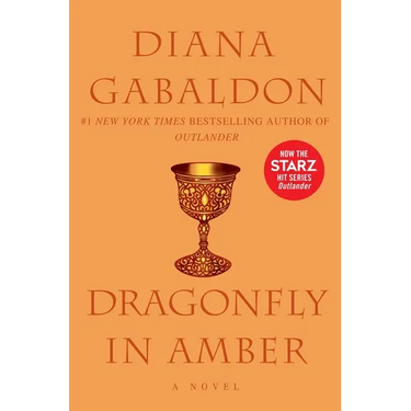 Dragonfly in Amber