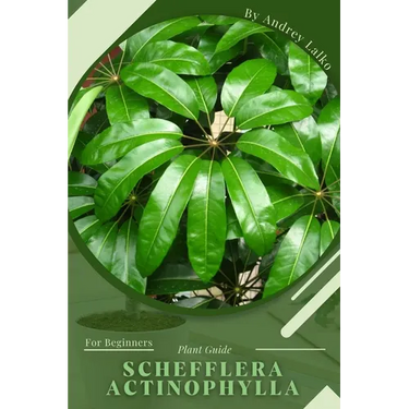 Schefflera actinophylla: Plant Guide