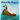 Parker the Penguin Goes on Vacation