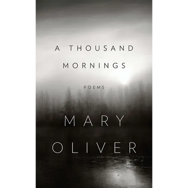 A Thousand Mornings