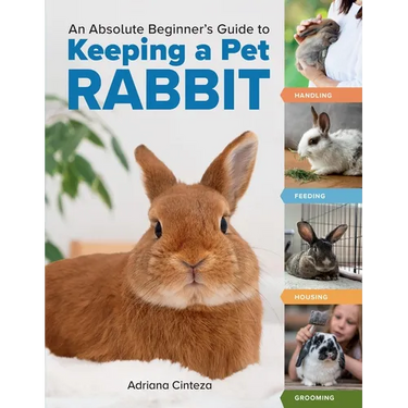 An Absolute Beginner's Guide to Keeping a Pet Rabbit: Handling, Feeding, Housing, and Grooming