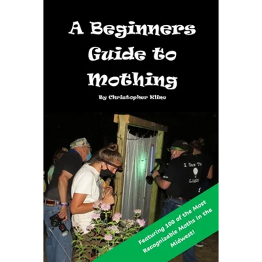 A Beginners Guide to Mothing
